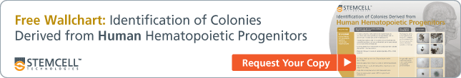 Complimentary Wallchart:  Human Hematopoietic Progenitors.  Request Your Copy Today